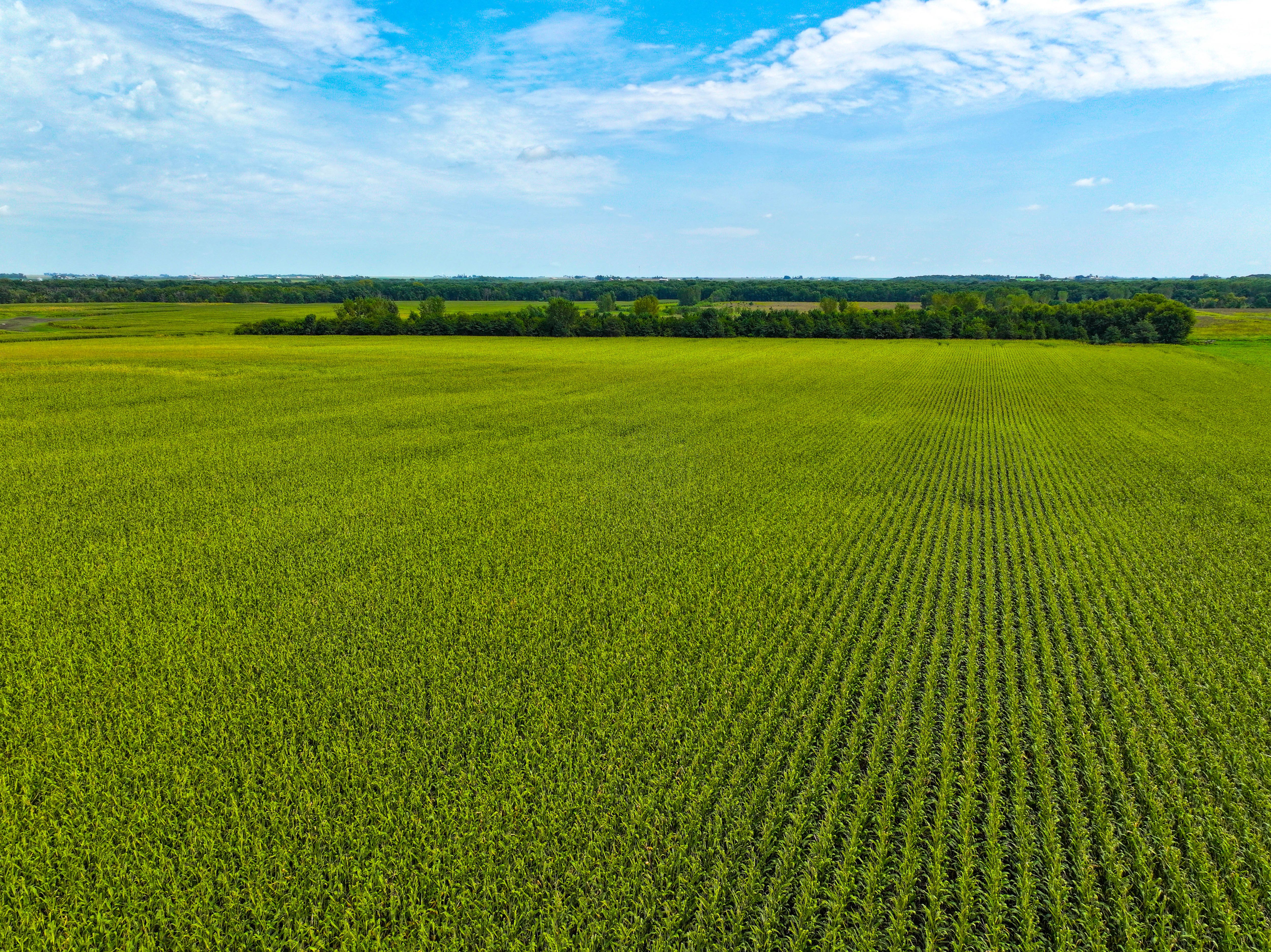 Listing Photo: 09_Buchanan County IA Land For Sale